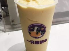 -一只酸奶牛(时代天街A馆店)