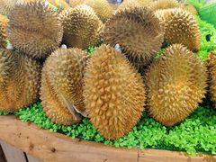 -百果园PAGODA(应元路店)