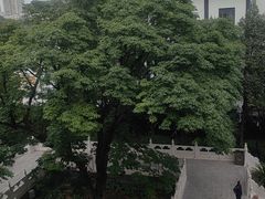 -菩提树下茶咖鼓捣