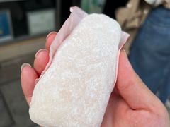-澳门长洲糯米糍(柯打苏沙街店)