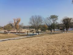 -盘龙城国家考古遗址公园