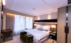 -巍阁高端月子会所