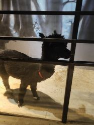 -酷嗒动物文化乐园(cutezoo西溪乐天城店)