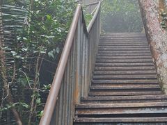 -七仙岭温泉国家森林公园