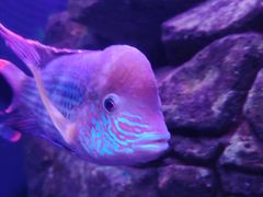 -成都浩海立方海洋公园