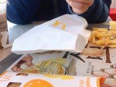 -麦当劳(塔园路店)