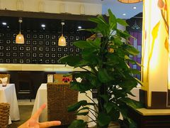 -阿诺泰·泰国餐厅(紫荆店)
