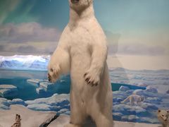 -陕西自然博物馆