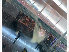 -巴塞罗那约瑟·塔拉德利亚斯-埃尔·普拉特机场