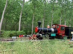 -合肥滨湖国家森林公园