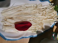 -青瓷火锅料理(西单大悦城店)