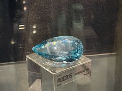 -中国地质博物馆