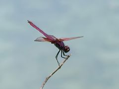 -楠溪江风景名胜区