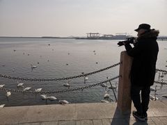 -烟墩角天鹅湖