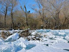 -长春市南湖公园