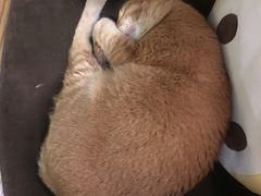 -默迹咖啡馆