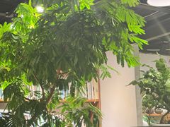 -自由生长植物工作室(深港花卉中心店)