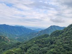 -大岭沟猕猴桃谷风景区