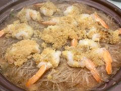 -邵年鸽(杨庄店)