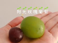 -盒马鲜生(十里堡店)