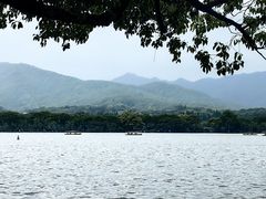 -浙江西子宾馆·瑶园咖啡厅