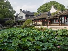 -上海醉白池公园