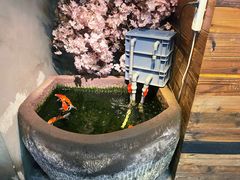 -愉肴麻辣香锅(中山路店)