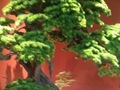 -阿伟海鲜楼·福建菜(延寿店)