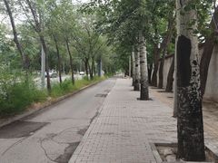 -北京大葆台遗址博物馆