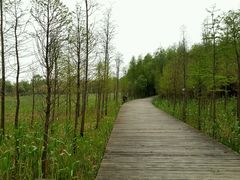 -溱湖国家湿地公园