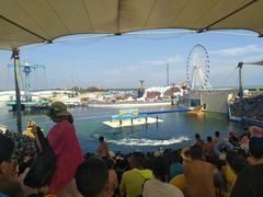 -秦皇岛乐岛海洋王国