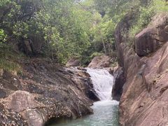 -广州白江湖森林公园