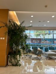 -杭州贝瑞斯美华妇儿医院·早孕·产检·儿科