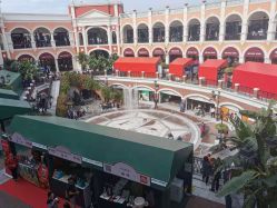 -奇幻丛林(佛罗伦萨小镇店)