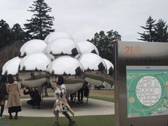 -金泽21世纪美术馆