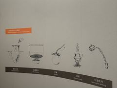 -九龙公园