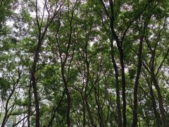 -玲珑塔公园