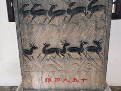 -上海醉白池公园