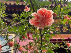 -西安市广仁寺
