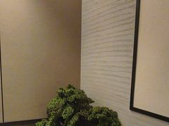 -上足·影院足道·SPA(红岭店)