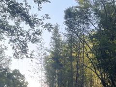 -千岛湖王子谷漂流
