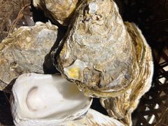 -蚝堡·生蚝海鲜烧烤物种起源•海肠捞饭(刘公岛店)