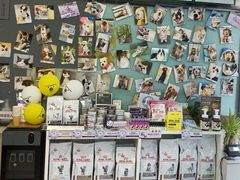 -爱妮康宠物医院·干细胞免疫细胞·肿瘤·心脏(张江店)