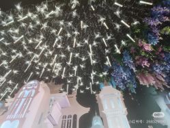 -花嫁丽舍婚礼殿堂(世博江景店)