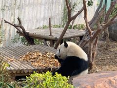 -南宁市动物园