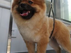 -北京恒爱动物医院(清景园分院)