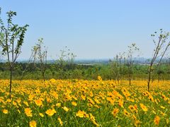 -老山国家森林公园