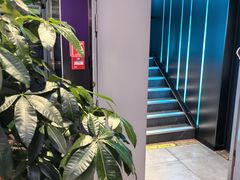 -唱吧麦颂KTV(高新店)