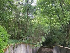 -杭州半山国家森林公园