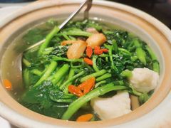 原汁原味西洋菜-煲煲好(朝阳门店)
